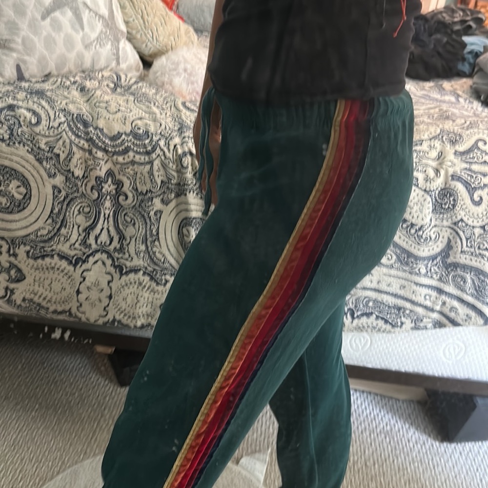 Aviator Nation green velour sweat pant joggers